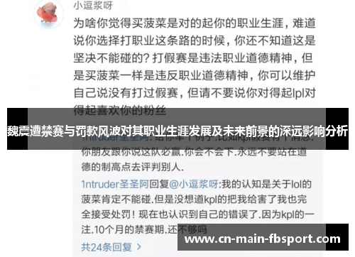 魏震遭禁赛与罚款风波对其职业生涯发展及未来前景的深远影响分析
