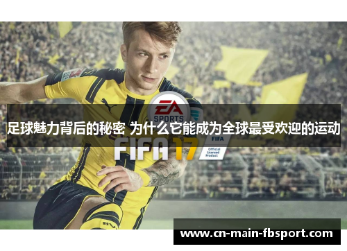 足球魅力背后的秘密 为什么它能成为全球最受欢迎的运动