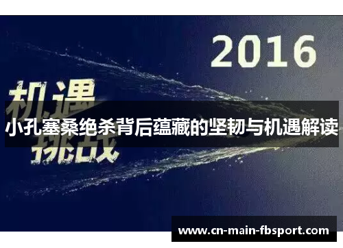 小孔塞桑绝杀背后蕴藏的坚韧与机遇解读