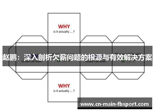 赵鹏:深入剖析欠薪问题的根源与有效解决方案 赵鹏:深入剖析欠薪问题的根源与有效解决方案