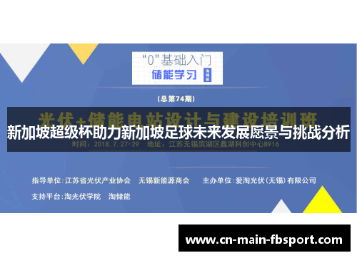 新加坡超级杯助力新加坡足球未来发展愿景与挑战分析