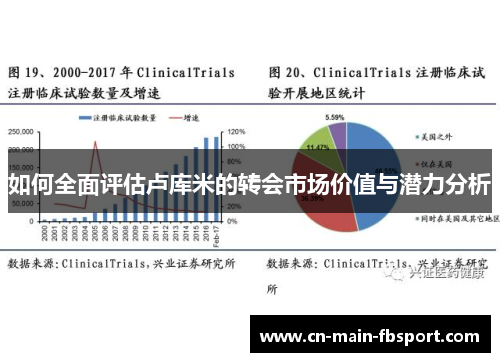 如何全面评估卢库米的转会市场价值与潜力分析